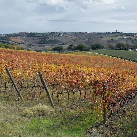 Agriturismo Al Rifugio Divino Belvedere Ostrense Eksteriør bilde