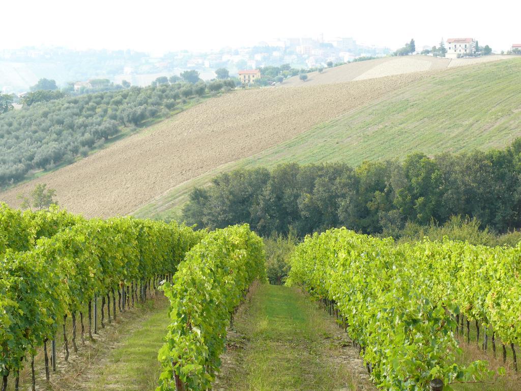 Agriturismo Al Rifugio Divino Belvedere Ostrense Eksteriør bilde