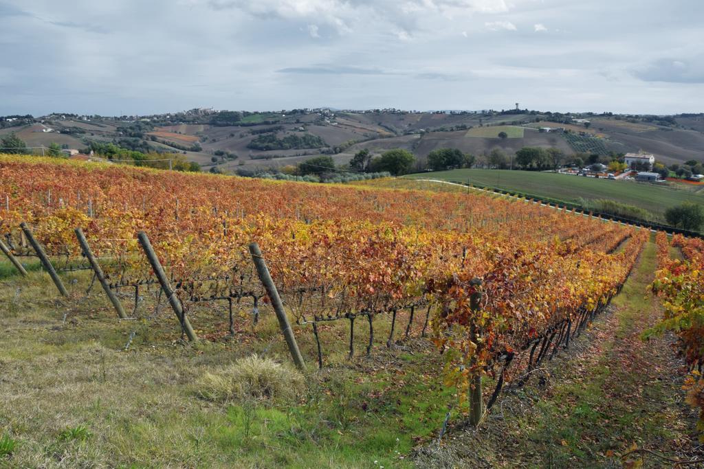 Agriturismo Al Rifugio Divino Belvedere Ostrense Eksteriør bilde